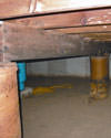 Mold and rot thriving in a dirt floor crawl space in San Antonio