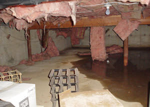 fiberglass insulation dripping off the ceiling of a crawl space in Boerne.