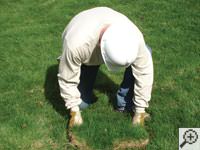 Restoring the landscaping by replacing removed sod on the ground for a Beeville home.