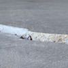 Slab floor cracks showing in a Pearsall home