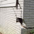 foundation walls cracked due to settlement in San Antonio